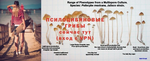 метадон Бугульма